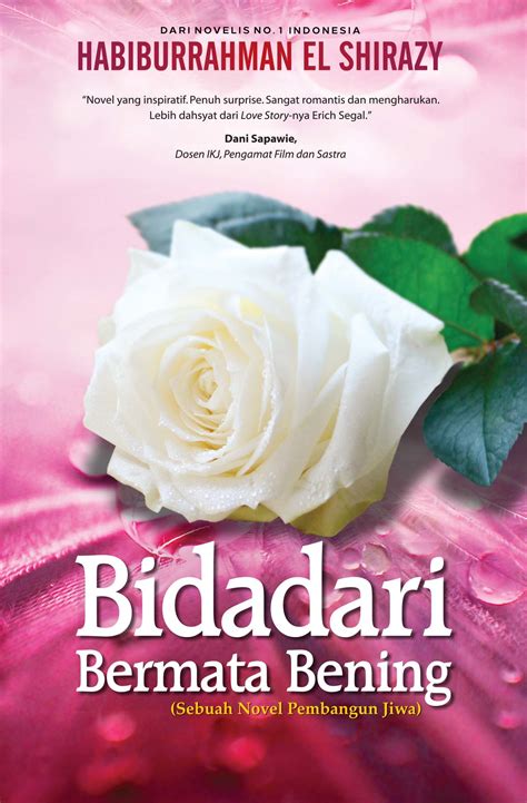 Cover Novel Bidadari Bermata Bening